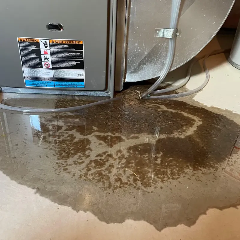 Appliance Leak Cleanup in Kendall Park, NJ